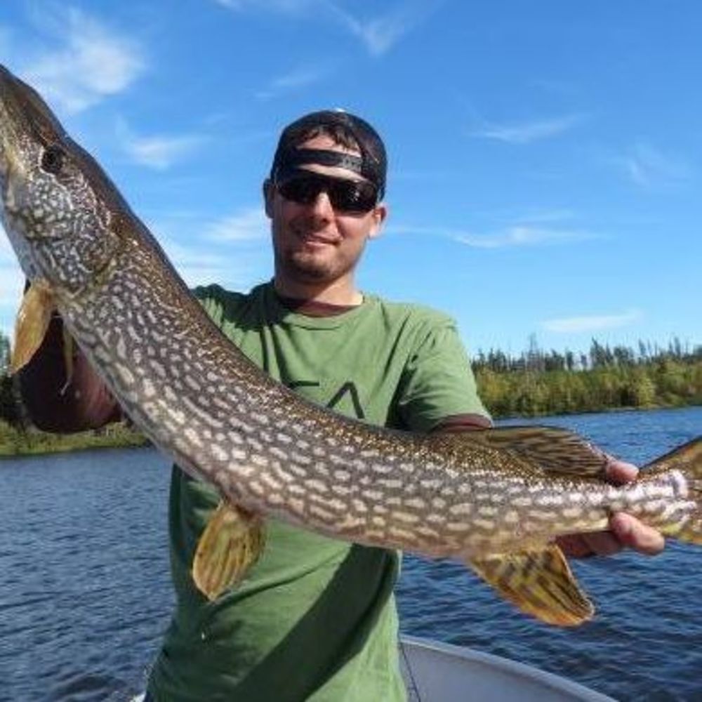 Meet your Posher, Matt